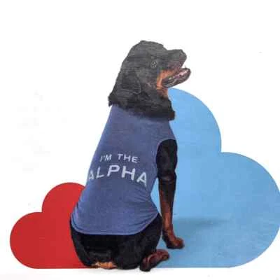 Boots & Barkley "I Am The Alpha" Camiseta sin mangas Ropa para mascotas Perro Elige tu talla Foto 1 de 4