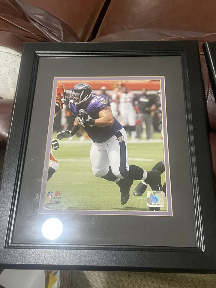 Foto fosca emoldurada Haloti Ngata Baltimore Ravens - Imagem 1 de 3