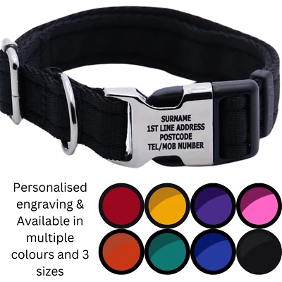 Stainless Steel Laser Engraved AGILITY DOG ENGRAVED ACTIVITY COLLAR Pet ID - Image 1 of 4