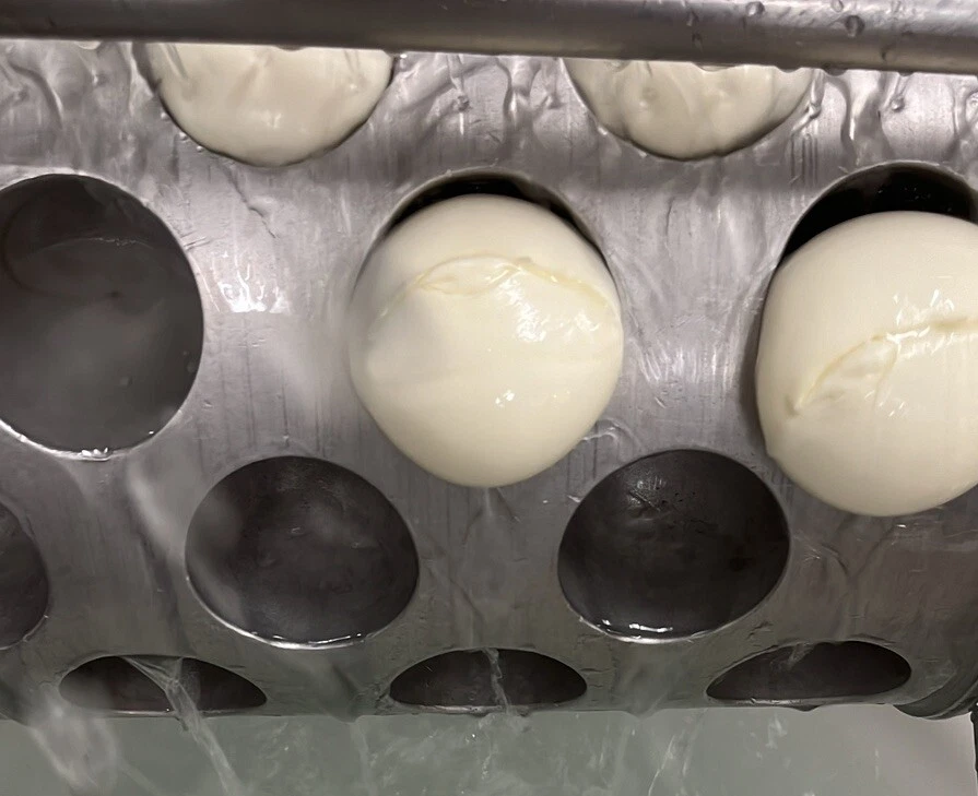 Mozzarella di Latte di Bufala Kg.1 - Immagine 1 di 1