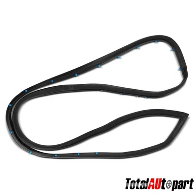 Sello de resistencia para puerta para Chevrolet Impala Caprice GMC Buick pasajero delantero Foto 1 de 4