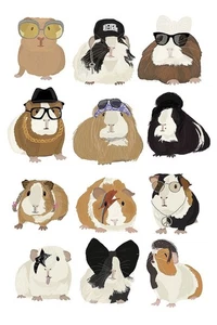 Musical Guinea Pigs Art Print by Hanna Melin 11 x 14 in. Paper Size New Unframed - Picture 1 of 1