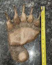 Grizzly BEAR paw claw cast replica Track Art Wall Hanger Wild Footprint TomSmith