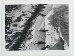 Sénégal. Dakar. Vue aérienne des pirogues alignées sur la plage. Années 50. - Foto 1 di 1