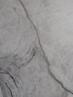 Hand Drawn Original Tonal Pencil Drawing Illustration of a Nude Male Phallus