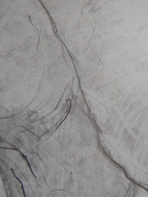 Hand Drawn Tonal Pencil Penis Drawing Illustration NSFW Nude Male Phallus Art - Image 1 of 4