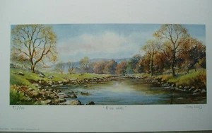 John Wood - River Walk - Grassington - Ltd Edit Print - No. 95/500 - Print Only - Picture 1 of 8
