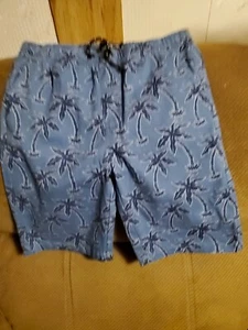 Sovereign State Blue Palm Design Bermuda Boys Shorts Size L Pre-owned - Picture 1 of 5