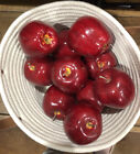 Artificial Apples Red 10 Piece Fake Fruit Lifelike Look Fresh & Juicy