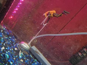 Edelstahl Ei & Taucher Mann - Aquarium Deko siehe Beschreibung  - Bild 1 von 4