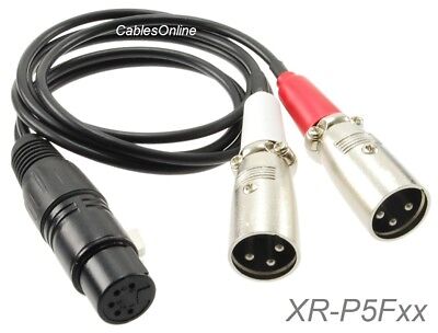 XLR 5-Pin Female to 2x 3-Pin Male Stereo or Dual-Elements Microphone Cable