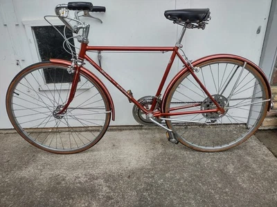 Schwinn Suburban 10 velocidades para hombre 1974 Foto 1 de 4