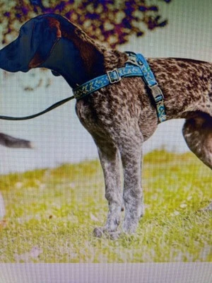 Nuovo con etichette ~ Hurtta Razzle-Dazzle H-Imbracatura per cani di piccola taglia media grande-REGOLABILE- - Immagine 1 di 4