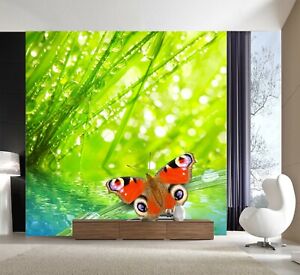 3D Red Butterfly 1322NA Wallpaper Wall Mural Removable Self-adhesive Fay