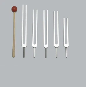 5pc Sharp Messa a Punto Forcelle -missing Collegamento A Chakra + Bacchetta per - Picture 1 of 1