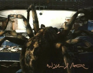 Autógrafo de Doctor Who: Foto firmada por William Meredith (Arácnidos en el Reino Unido) - Imagen 1 de 7