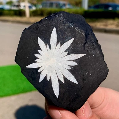 201G Natural Chrysanthemum Stone Quartz Carving Halo Treatment Gift - Image 1 of 4