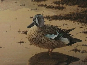 DANIEL SMITH 1989 IDAHO STATE MIGRATORY WATERFOWL DUCK STAMP PRINT L.E SIGN - Picture 1 of 7