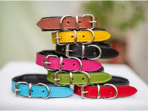 Customized Leather Dog Collar Large Engraved Dog Collar Large Blue XL Collar - Picture 1 of 20