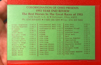 1993 revisión de fin de año Los mejores caballos en grandes carreras VHS arnés de caballos carreras Foto 1 de 4