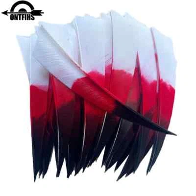 36Pcs 4In Shield Arrows Fletches Three Colors Gradient Natural Turkey Feathers - Image 1 of 4