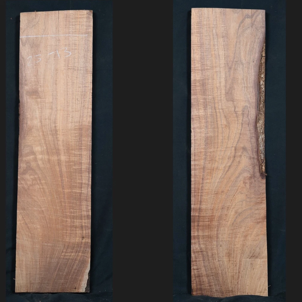 Tasmanian Blackwood 25-13 - image 1 of 1