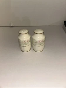 2 Noritake WILLOWBROOK 9722 SALT und PFEFFERSTREUER Elfenbein Goldrand Bone China - Bild 1 von 6