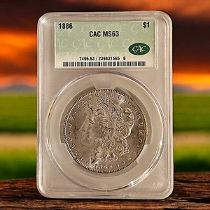 1886 P CACG MS63 Morgan Silver Dollar $1 US Mint Coin Philadelphia CAC Grading - Picture 1 of 5