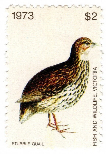 (I.B) Australia - Victoria Revenue: impuesto de caza $3 (1973) Foto 1 de 1