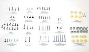 New 100 piece Interior screw kit 75-81 F body Hardtop 1 piece door panels 2546 - Picture 1 of 3