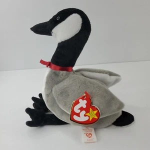 Ty Beanie Baby Loosy The Goose 1998 Sammler mit Etikett seltener Fehler Vintage Plüsch - Bild 1 von 22