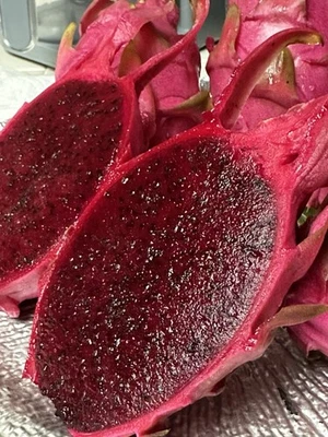 OUT OF STOCK*******Dragon Fruit “Sin Espinas “ (no Thorns) Dragon Fruit Cuttings - Image 1 of 4