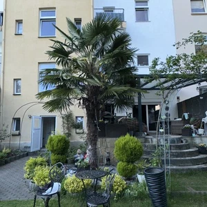 Trachycarpus fortunei ca 400 cm Chinesische Hanfpalme XXL Stamm winterhart - Bild 1 von 7