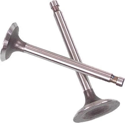 Shindy Intake/Exhaust Valve Set #07-113 Kawasaki Bayou 400/Prairie 400 — 第 1/1 张图片