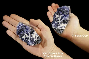 BLU SODALITE 3" 8-12 oz campione minerale roccia lapidaria pietra cristallo curativa - Foto 1 di 4