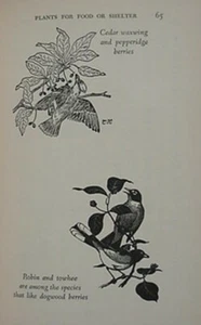 HOW TO ATTRACT BIRDS, 1950 BOOK - Picture 1 of 1