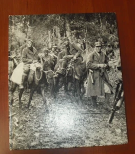 Time-Life Books: Partisans & Guerillas World War II  Hardcover - Bild 1 von 7