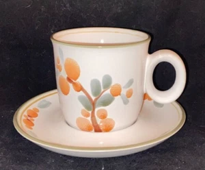 Noritake Stoneware Bliss Teacup Cup & Saucer Set (s)  {sh45} - Picture 1 of 3