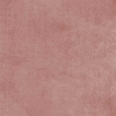 Upholstery Fabric - English Rose Super Velvet Curtain Cushion Fabric Material - Image 1 of 3