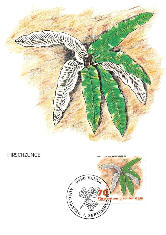 Maximum Card FDC LIECHTENSTEIN Plant 1992 September MK 109 N3 - Image 1 of 2