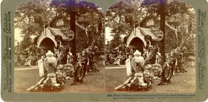 1901 - Blumenwürfe rund um das Empfangstresor - Präs. McKinley - Stereograph - Bild 1 von 2