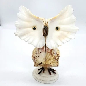 Sea Shell Owl Figurine Vintage Collectible Artsy - Picture 1 of 7