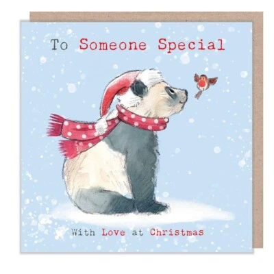 Christmas Card Someone Special Panda and Robin – Paper Shed Illustrated Design