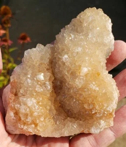 Druzy Quarz Kristall auf Spitzenachat Schicht - funkelndes Missouri Exemplar dr1762 - Bild 1 von 9