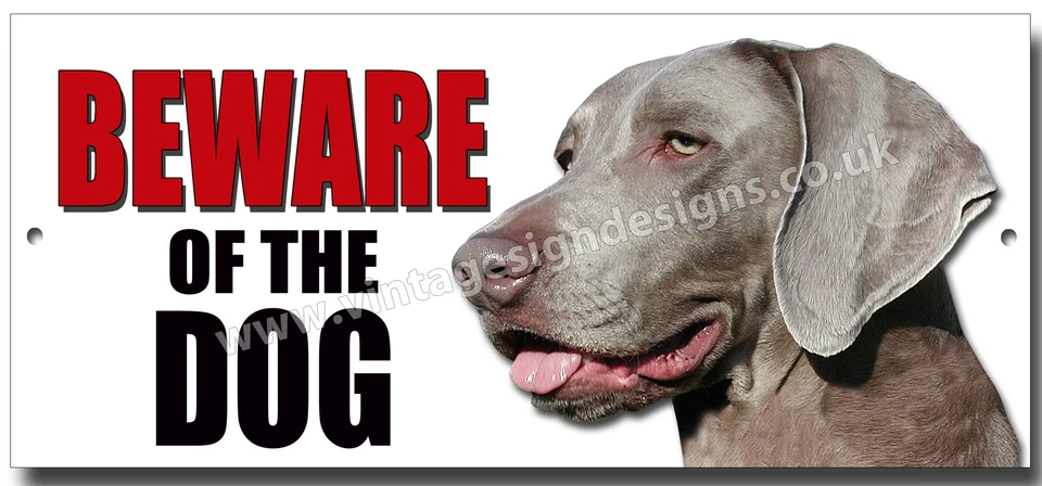 WEIMARANER BEWARE OF THE DOG METAL SIGN,SECURITY,WARNING.PERSONALISED DOG SIGN. - Image 1 of 1