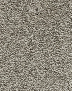 Teppichboden Restposten | Farbe: Grau | Polyester | 4,75 x 4 m | UVP: 23,90/m^2 - Bild 1 von 1