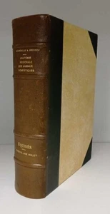 Anatomie régionale des animaux domestiques - Equidés I - cheval- ane- - Imagen 1 de 2