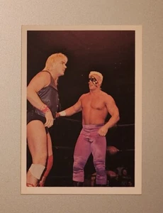 1988 Wonderama NWA Barry Windham & Sting #9                - Picture 1 of 1