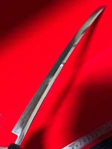 Japanese Maguro Tuna Sakimaru Sashimi Knife 530mm / 715mm Mirror Finish - Picture 1 of 17