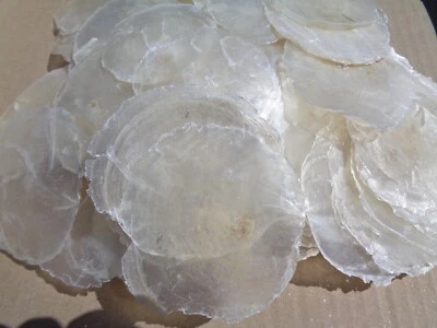 50 X SMALL CAPIZ SHELLS 5 - 7 CM DIA NATURAL PLACUNA  WINDOW PANE OYSTER - Image 1 of 4